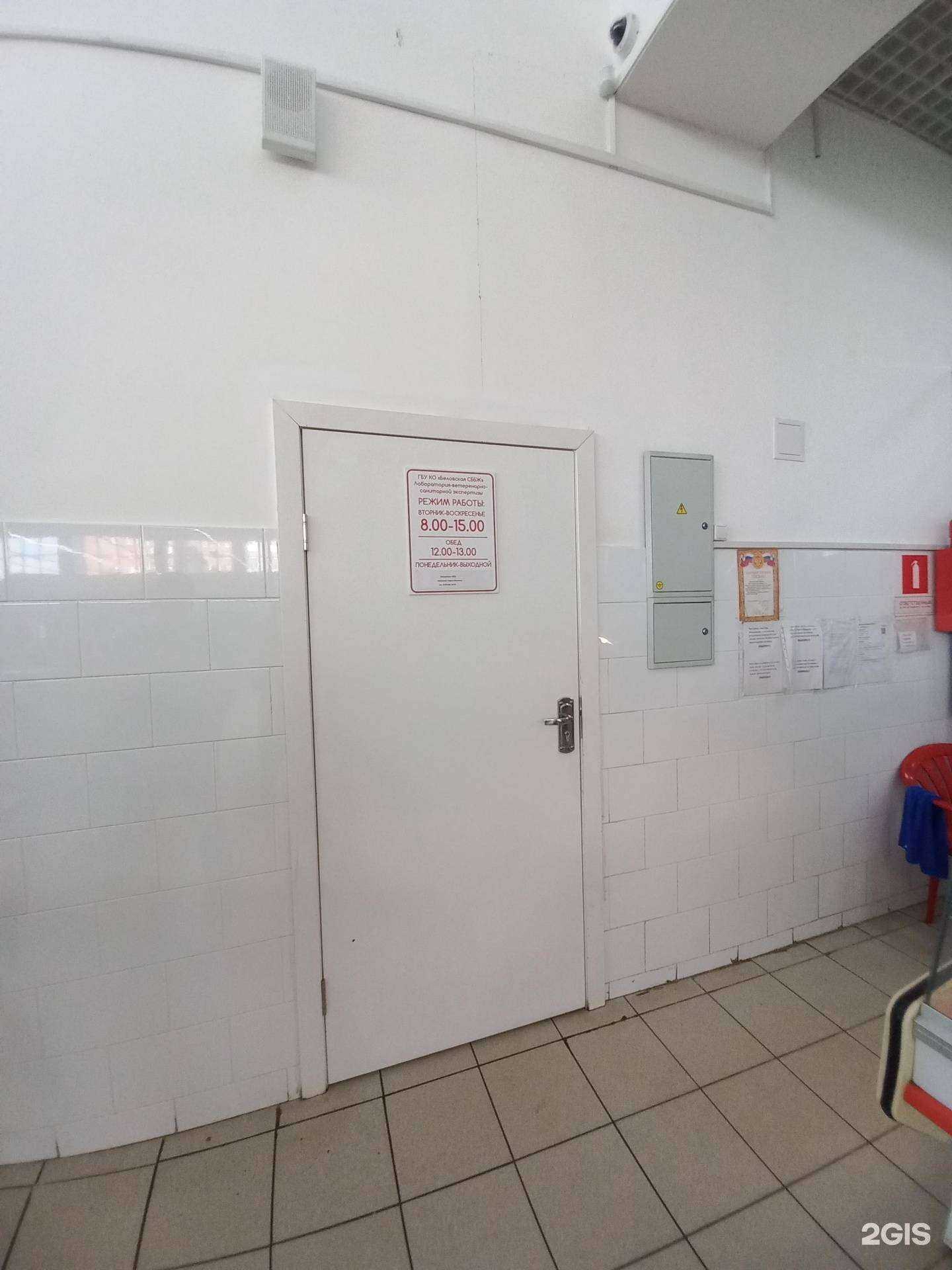 Отзывы на компанию Лаборатория ветеринарно-санитарной экспертизы в г. Белово c фото