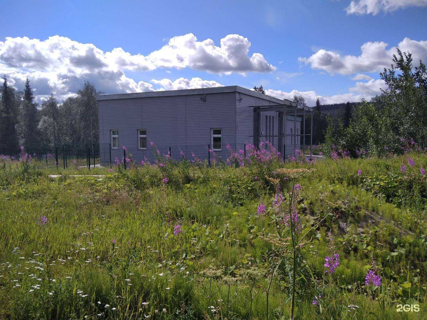 Отзывы на компанию Компания в Ковдоре c фото