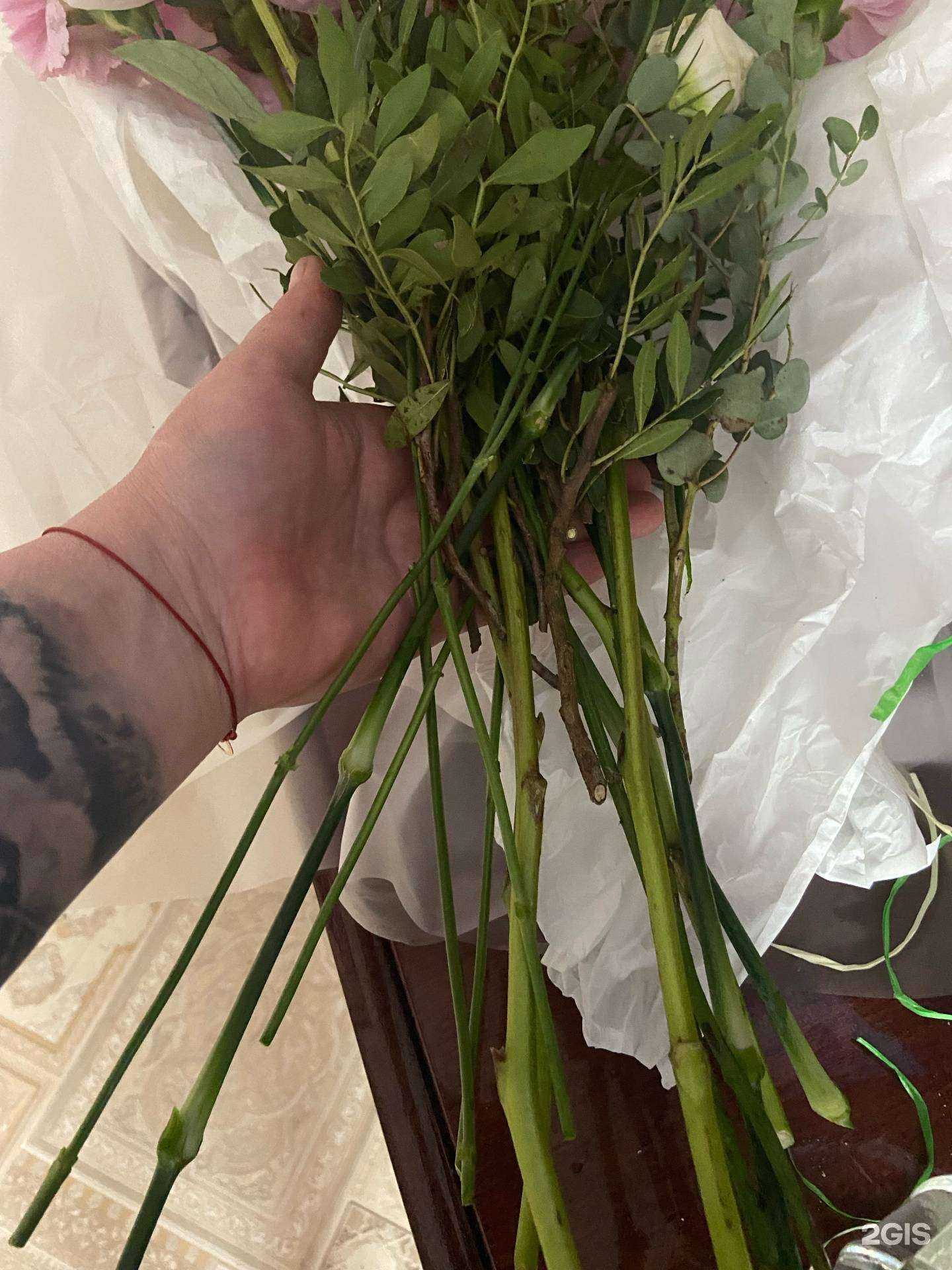 Отзывы на компанию Floroom в Северодвинске c фото