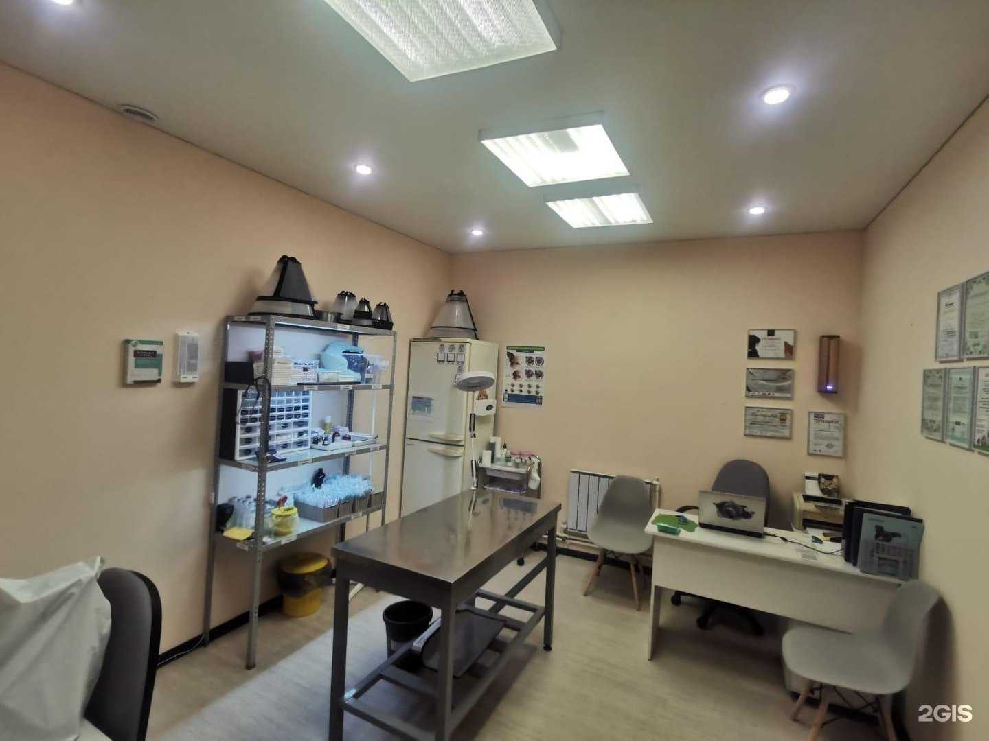 Отзывы на компанию Мяу-Гав в г. Челябинск c фото