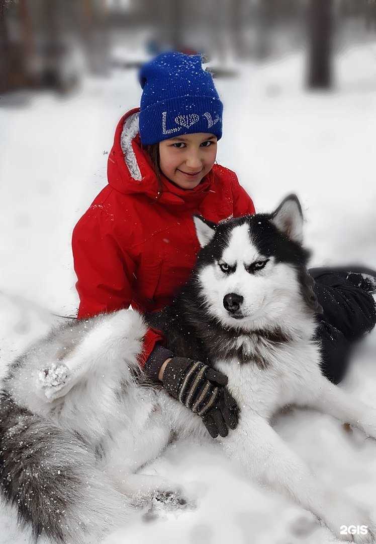 Отзывы на компанию Маламут Ленд в г. Самара c фото