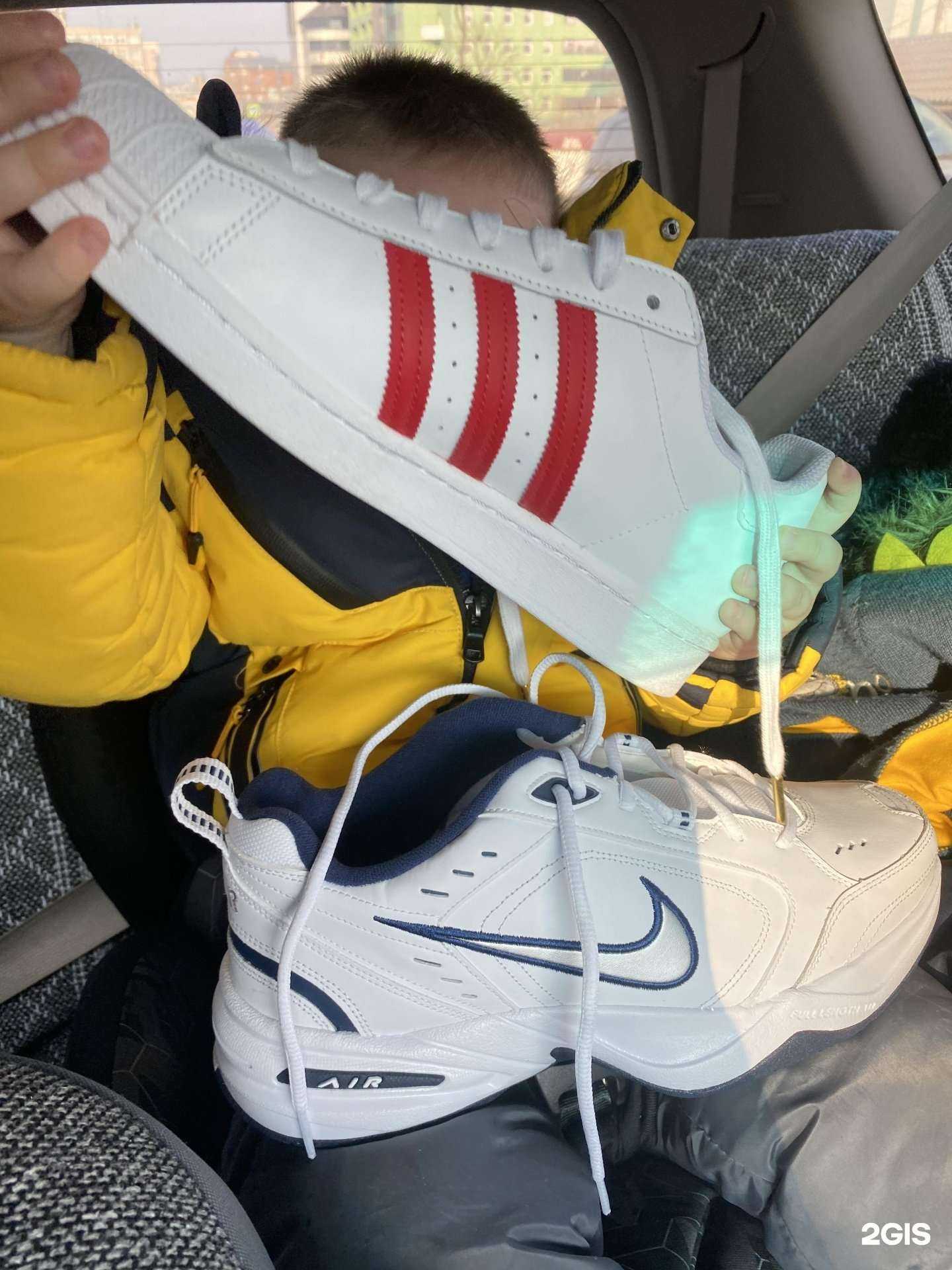 Отзывы на компанию Bulldog-shop в Владивостоке c фото