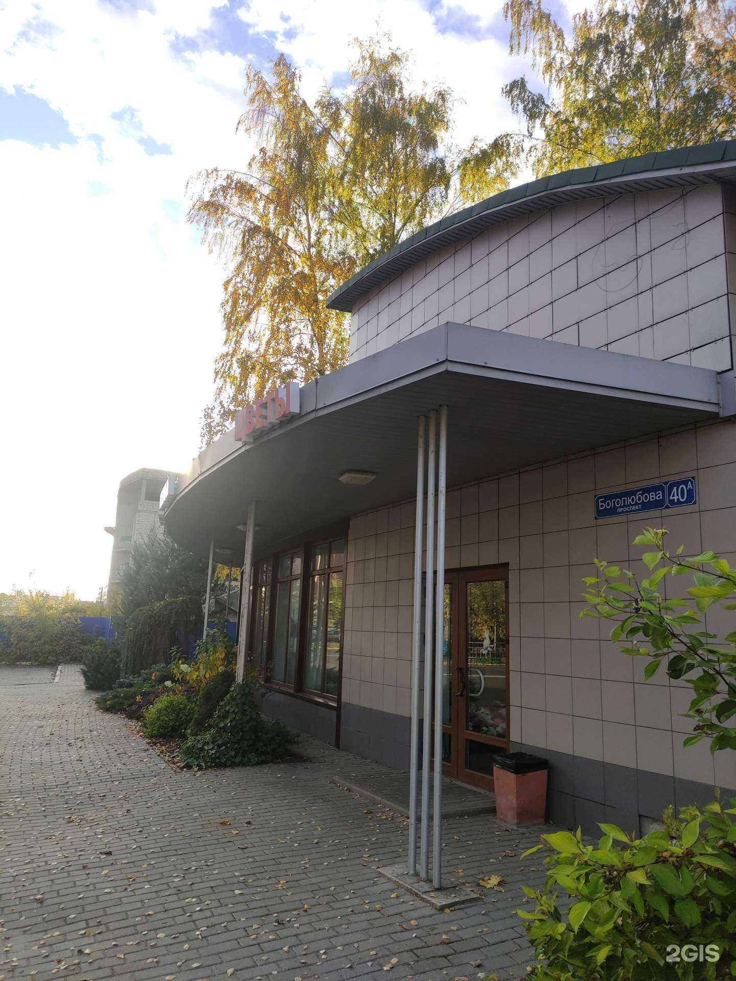 Отзывы на компанию Белый попугай в Дубне c фото