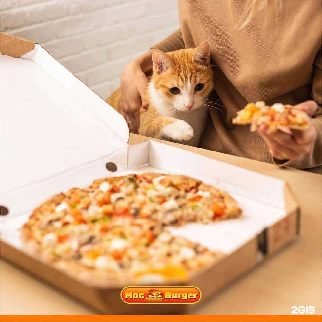 Отзывы на компанию Mac burger в Чите c фото