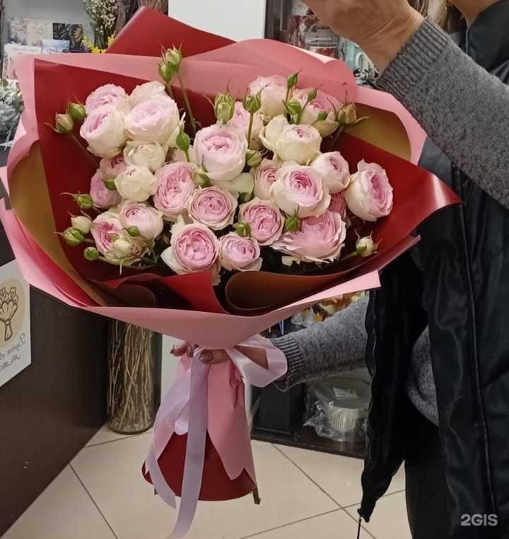 Отзывы на компанию Мимоза в г. Курск c фото