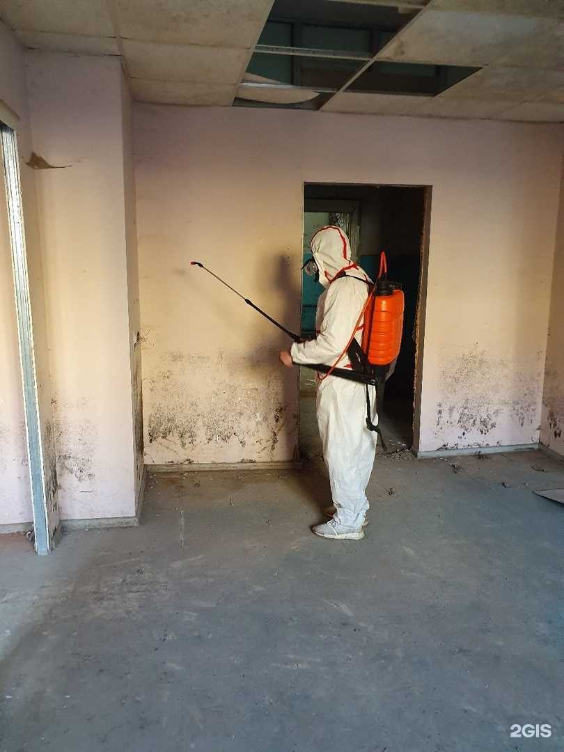 Отзывы на компанию Дез-борец в Новоуральске c фото