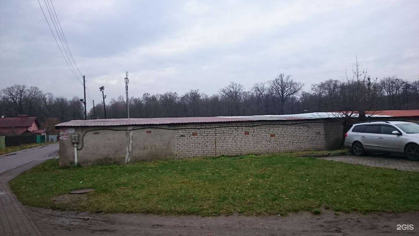 Отзывы на компанию ЁлкиПалки в Калининграде c фото - фотография 2 из 2