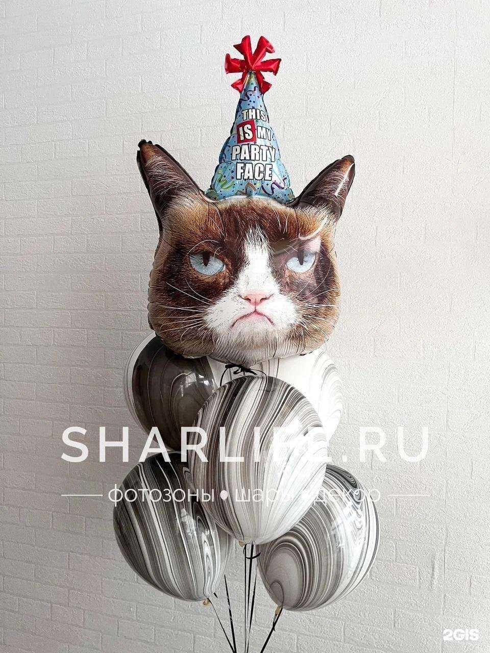 Отзывы на компанию ШарЛайф в г. Балашиха c фото