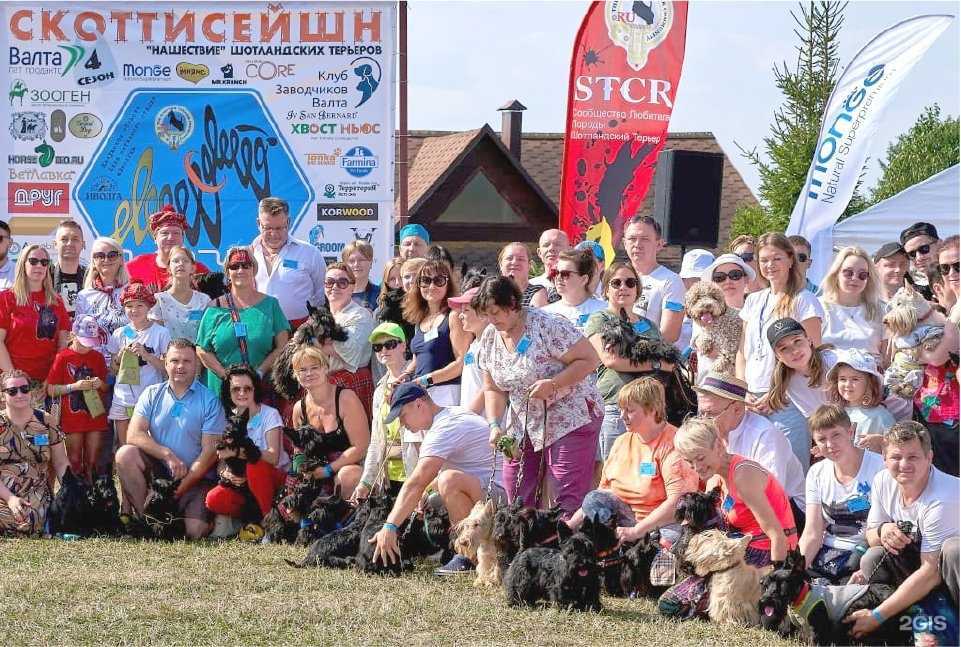 Отзывы на компанию Ветлавка в Воронеже c фото