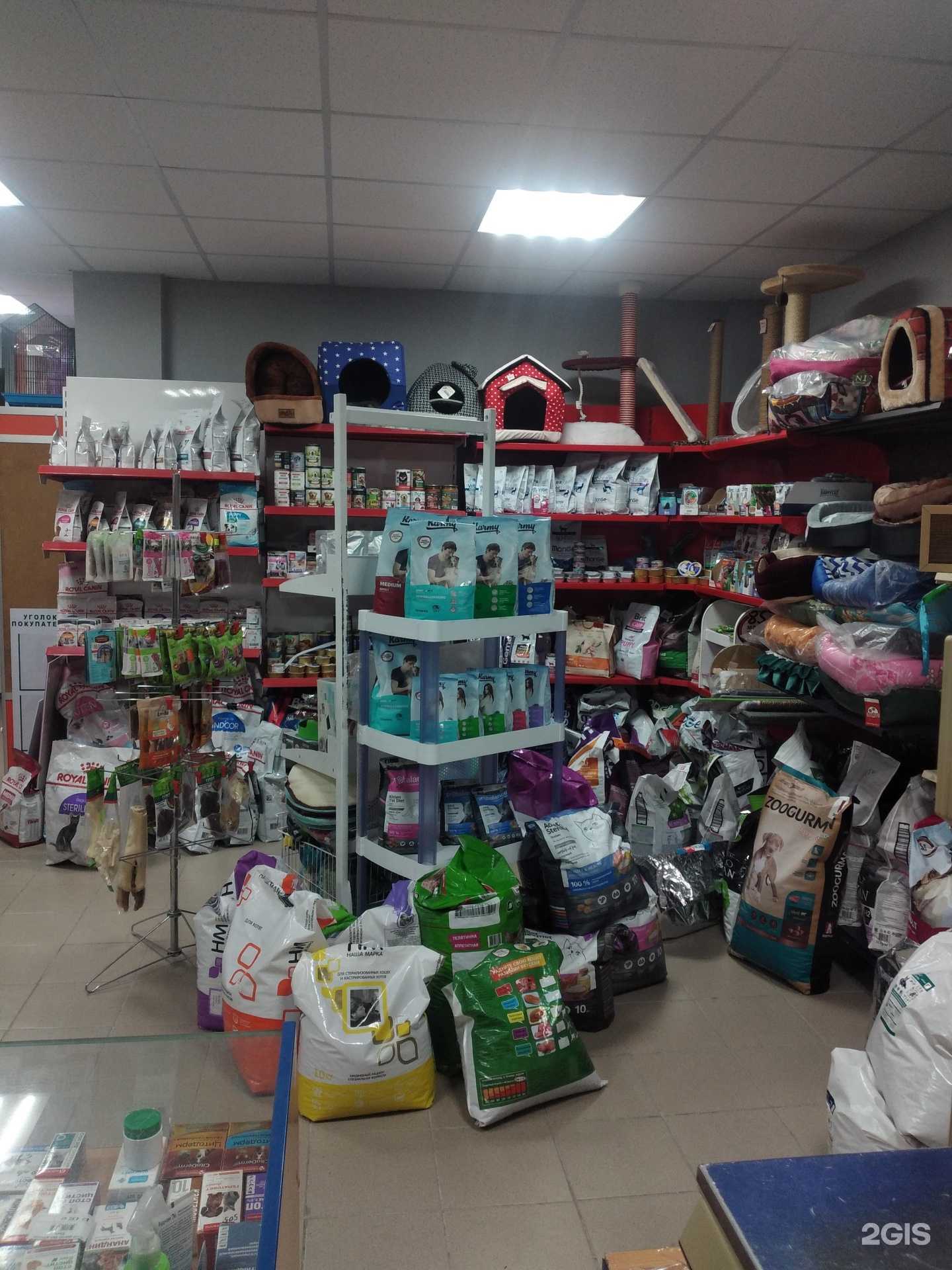 Отзывы на компанию Зоомагазин в г. Тамбов c фото