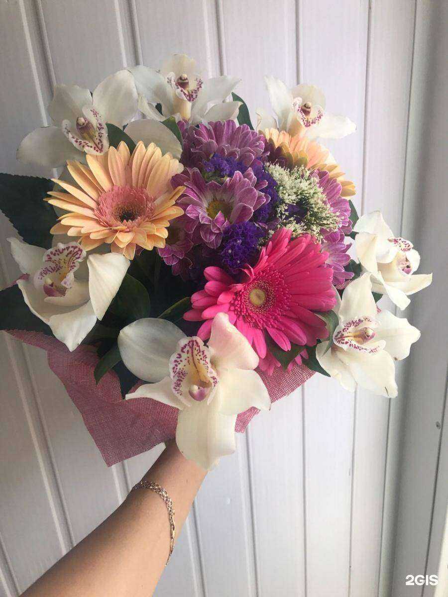 Отзывы на компанию Кактус в г. Омск c фото