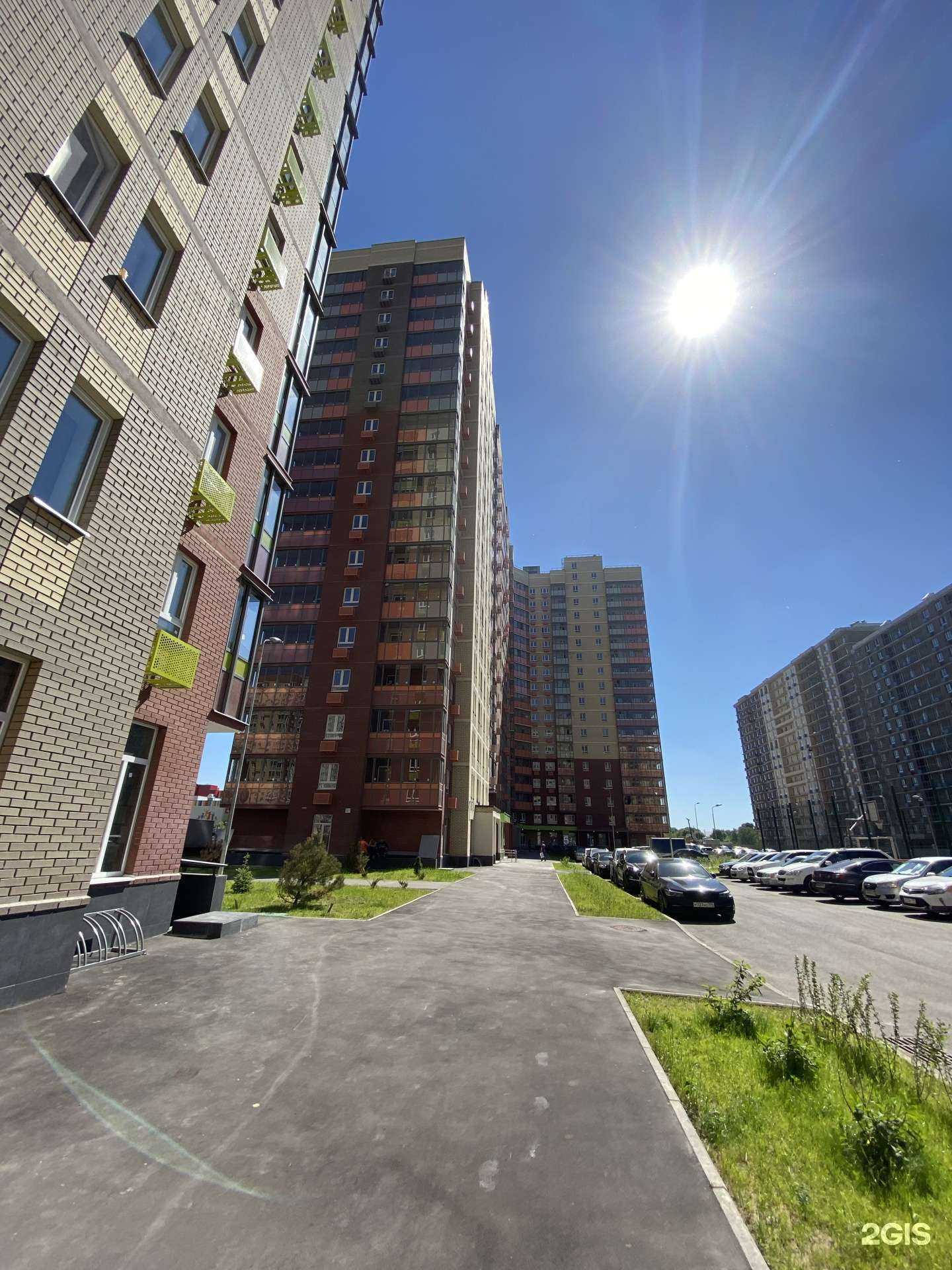 Отзывы на компанию Игуана в Люберцах c фото - фотография 2 из 2