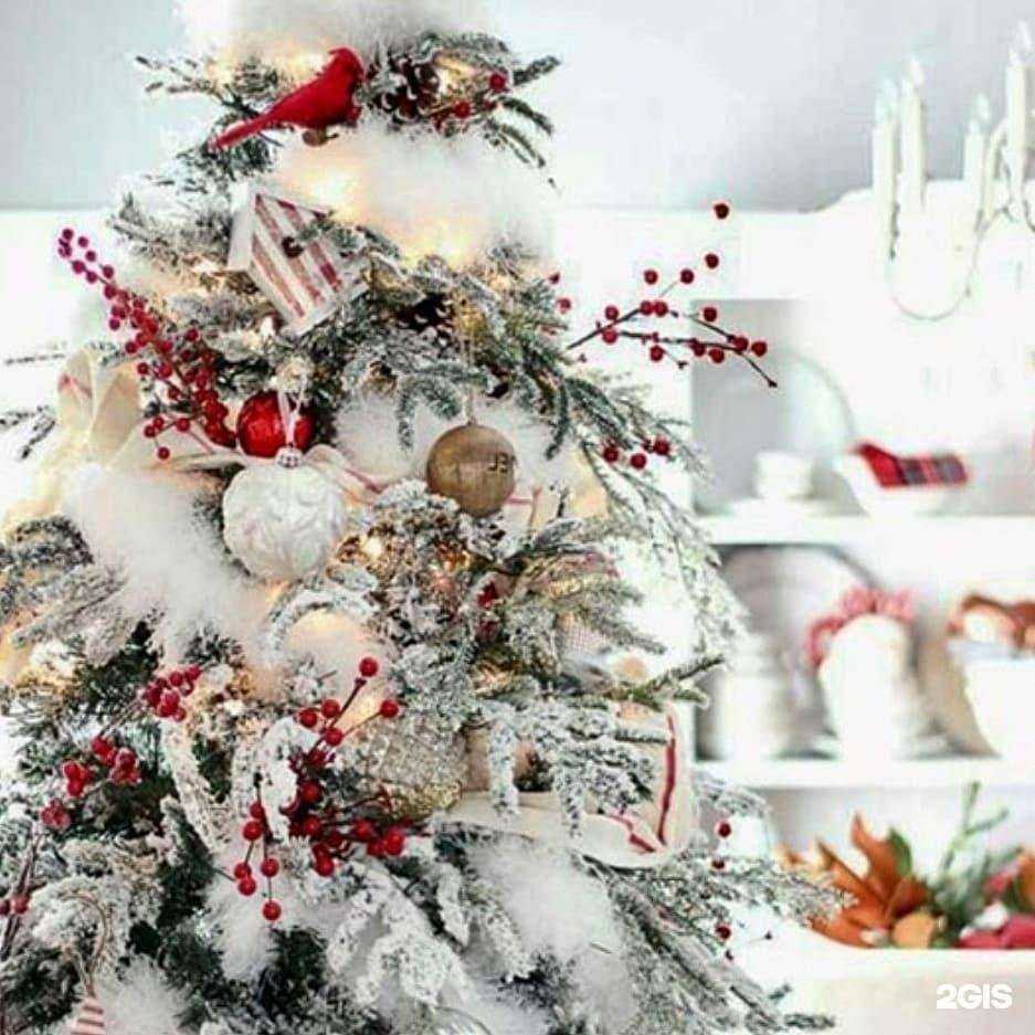 Отзывы на компанию Solo в Подольске c фото