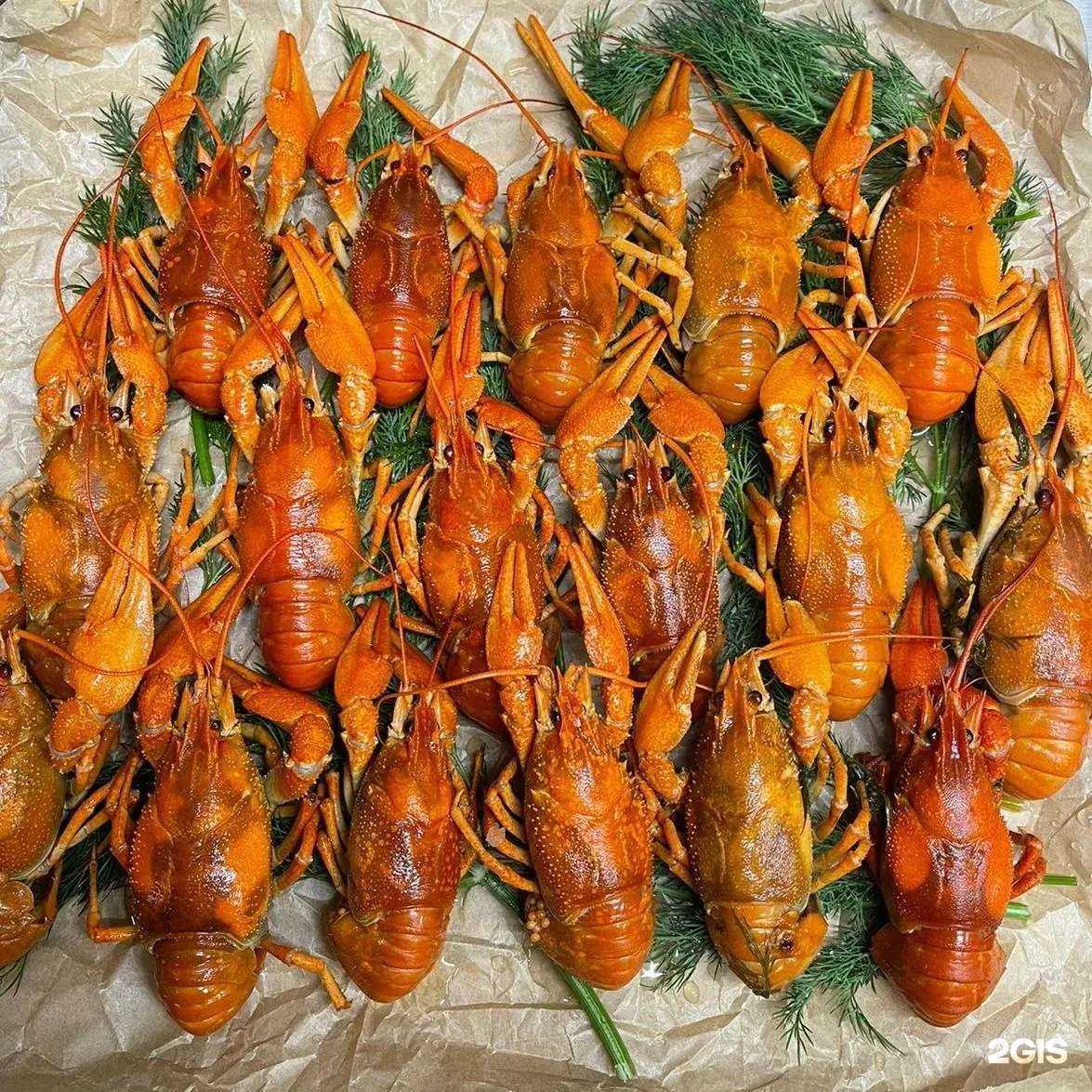 Отзывы на компанию Сканди в Коммунарке c фото