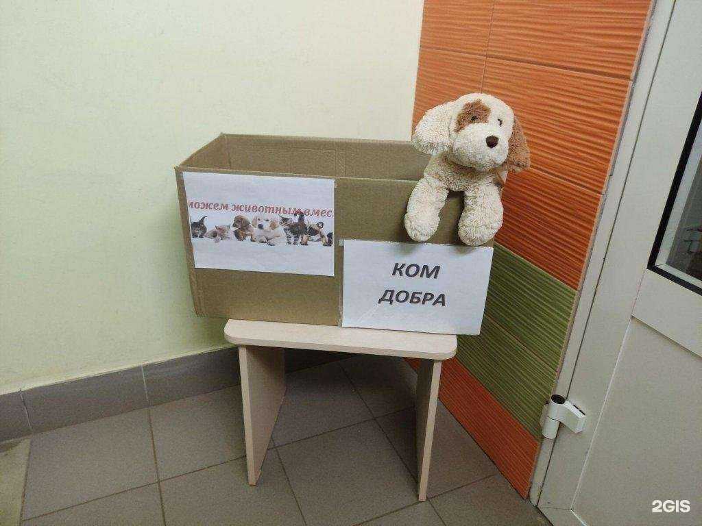 Отзывы на компанию Детский сад №1 в г. Иваново c фото