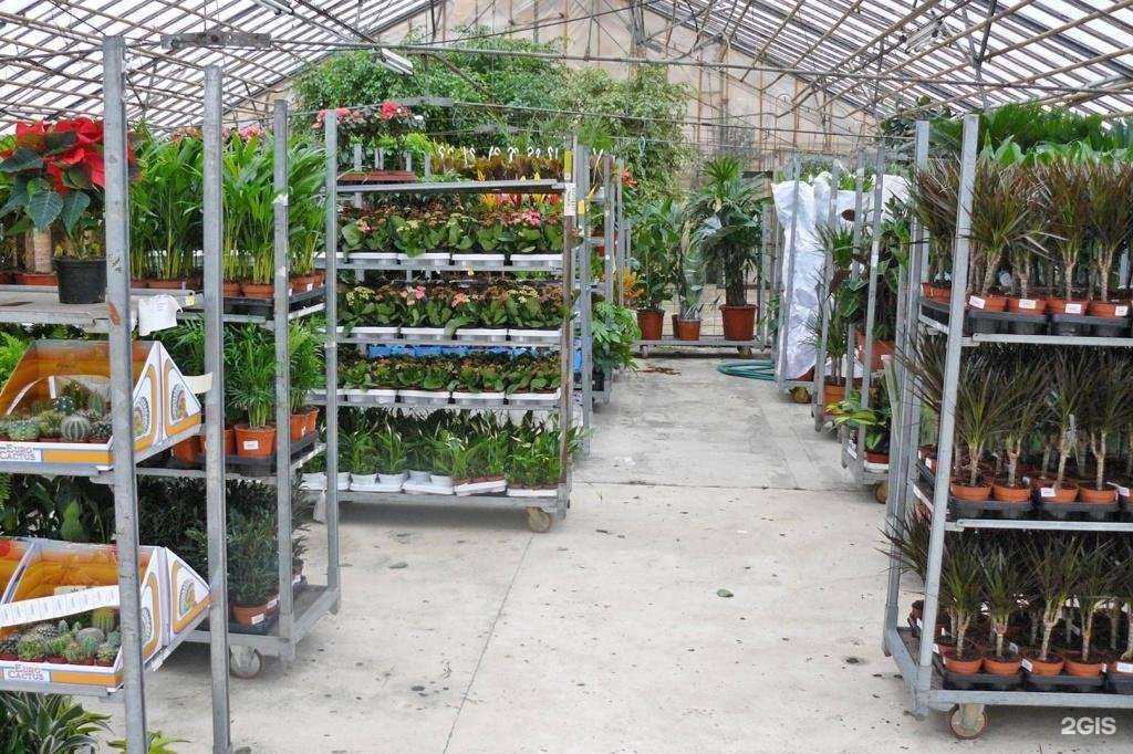 Отзывы на компанию Цветочный Регион в Вологде c фото