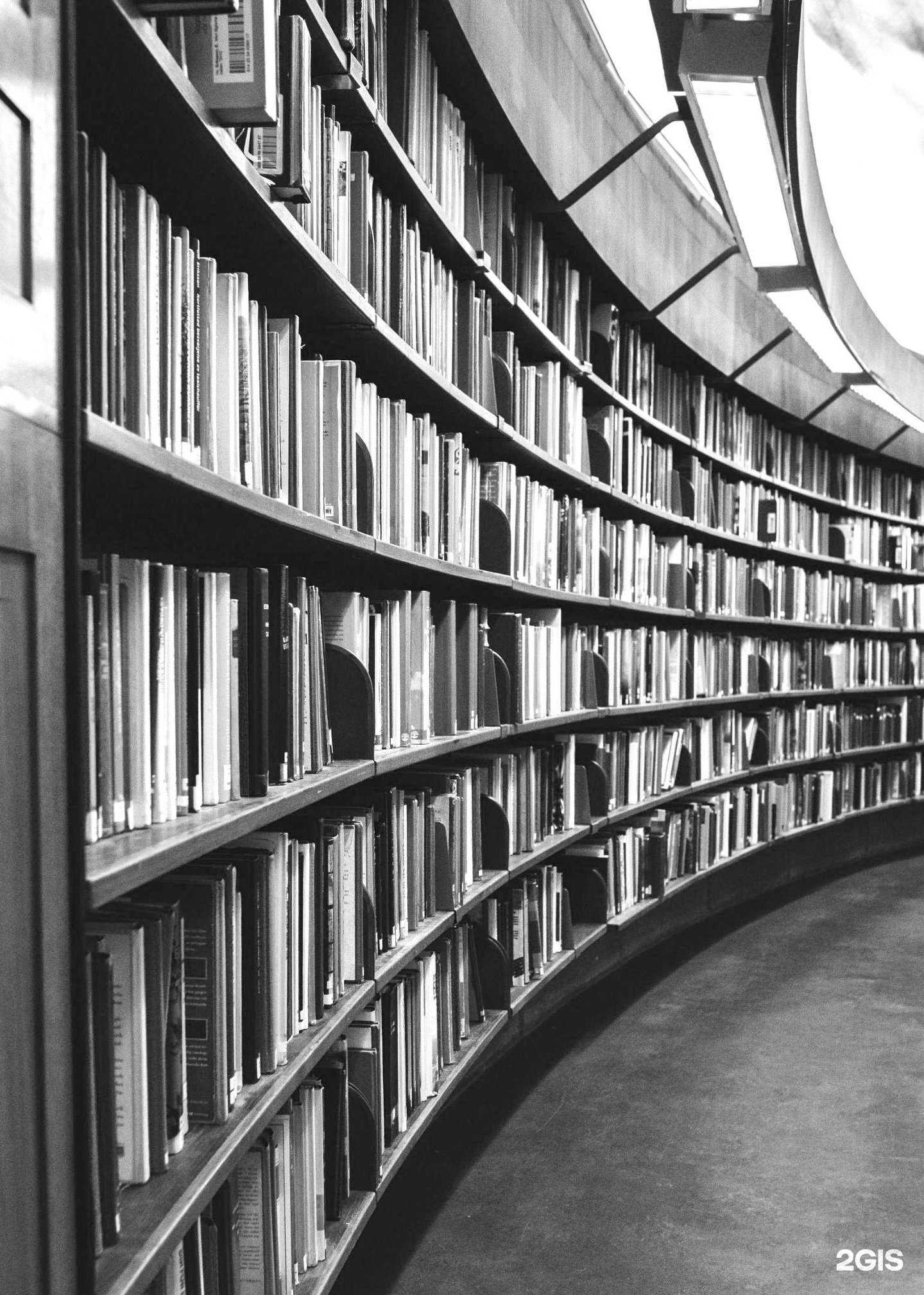 Отзывы на компанию Таможенная лига в Новосибирске c фото