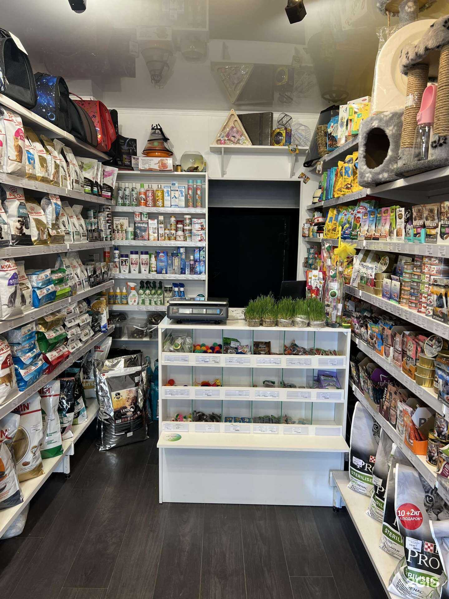 Отзывы на компанию Пудель в Уфе c фото