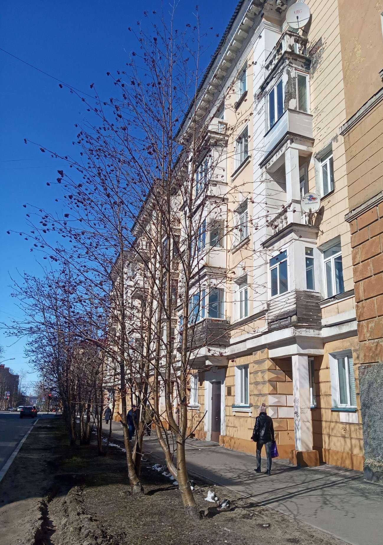 Отзывы на компанию Седьмое небо в Мурманске c фото - фотография 2 из 2