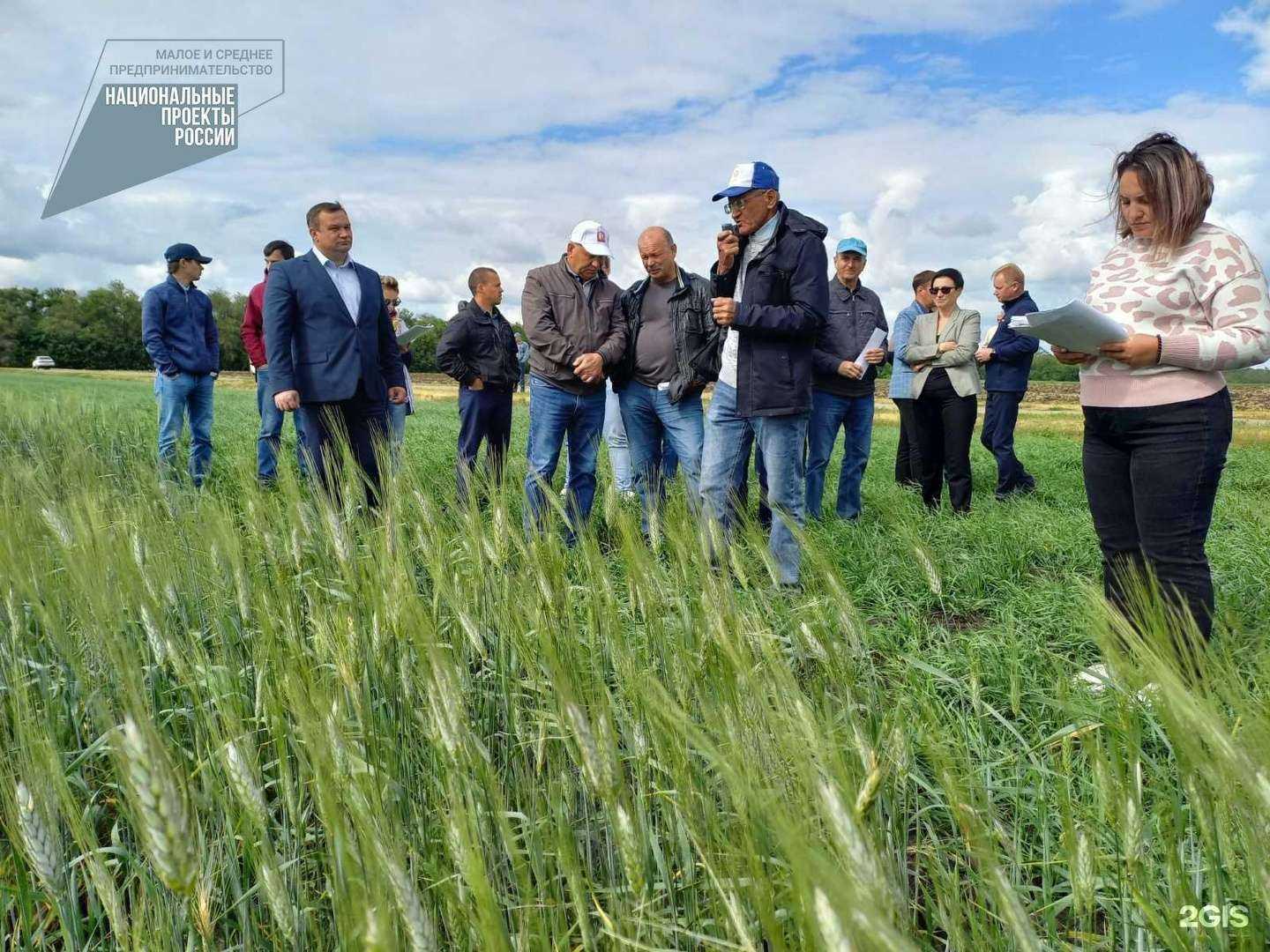 Отзывы на компанию Самара-Арис в г. Самара c фото
