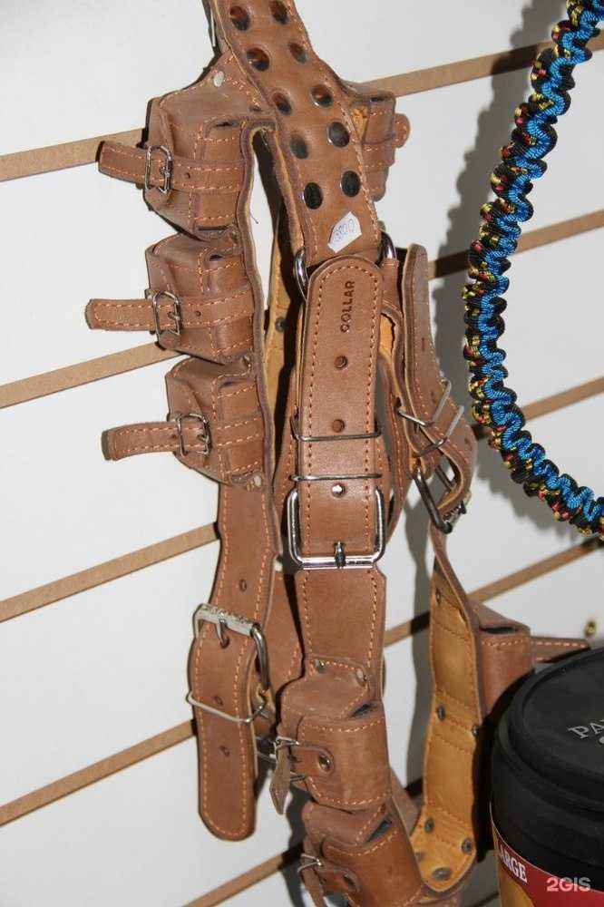 Отзывы на компанию Спорт-дог в Омске c фото