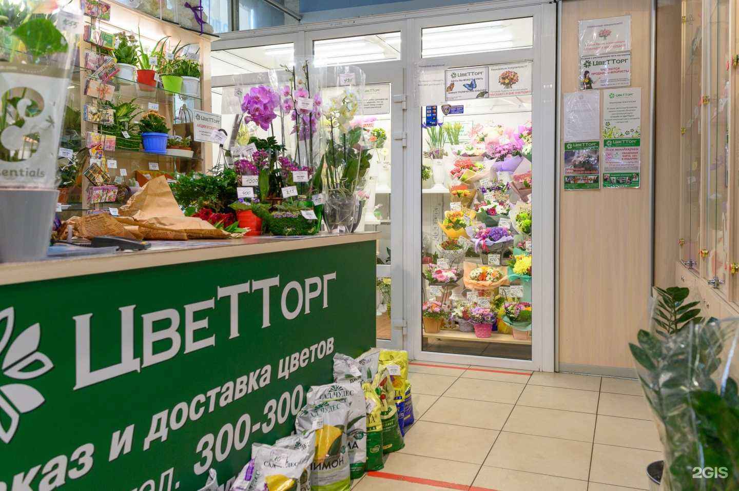 Отзывы на компанию Цветторг в Тольятти c фото