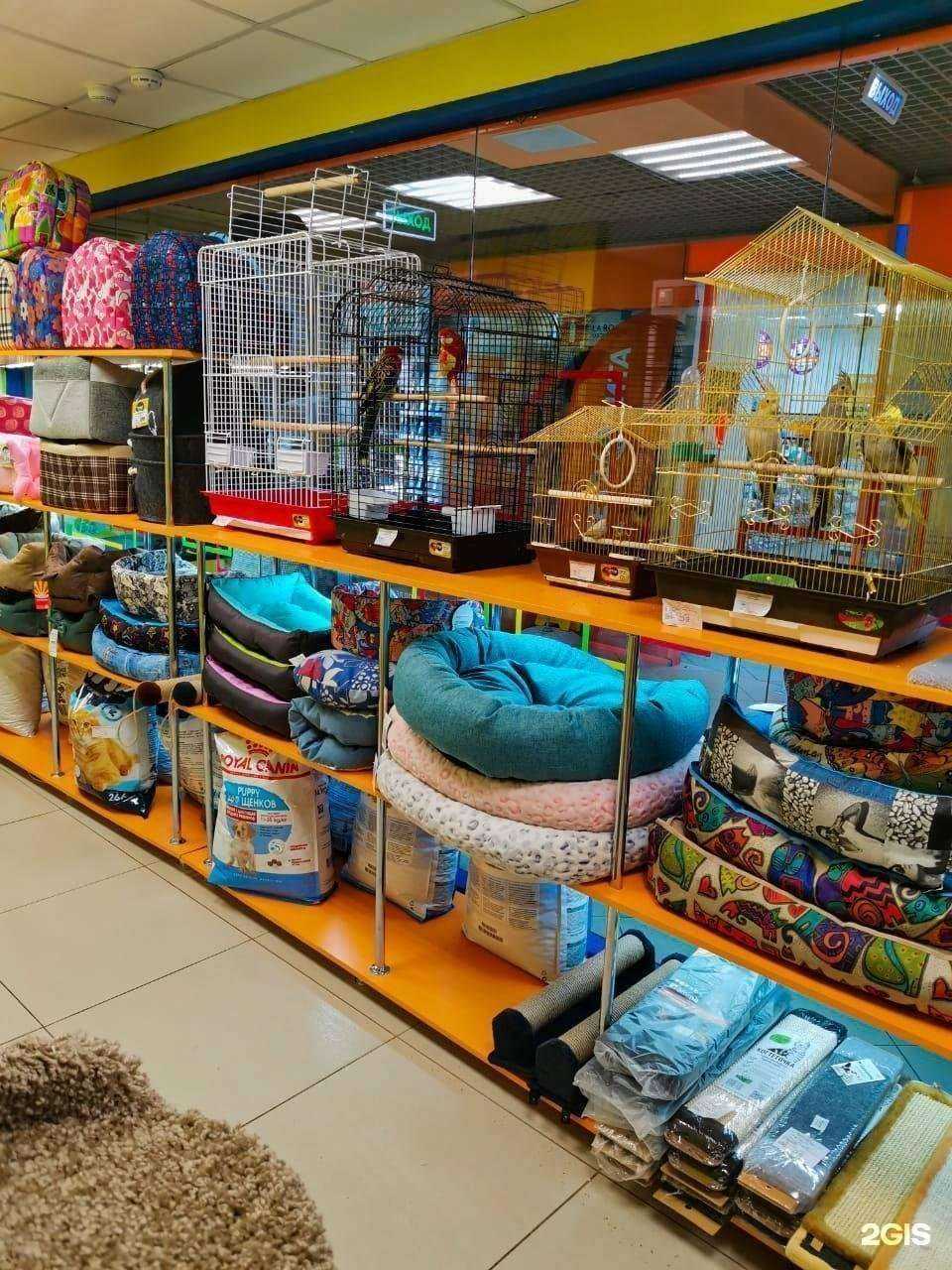 Отзывы на компанию Академия домашних животных в г. Самара c фото