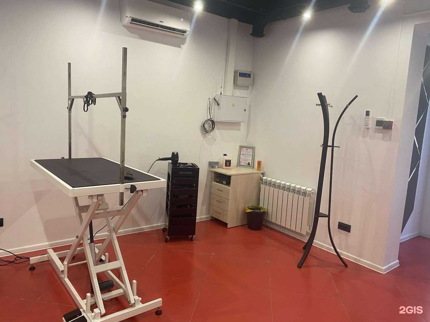 Отзывы на компанию Стильные лапки в г. Белгород c фото