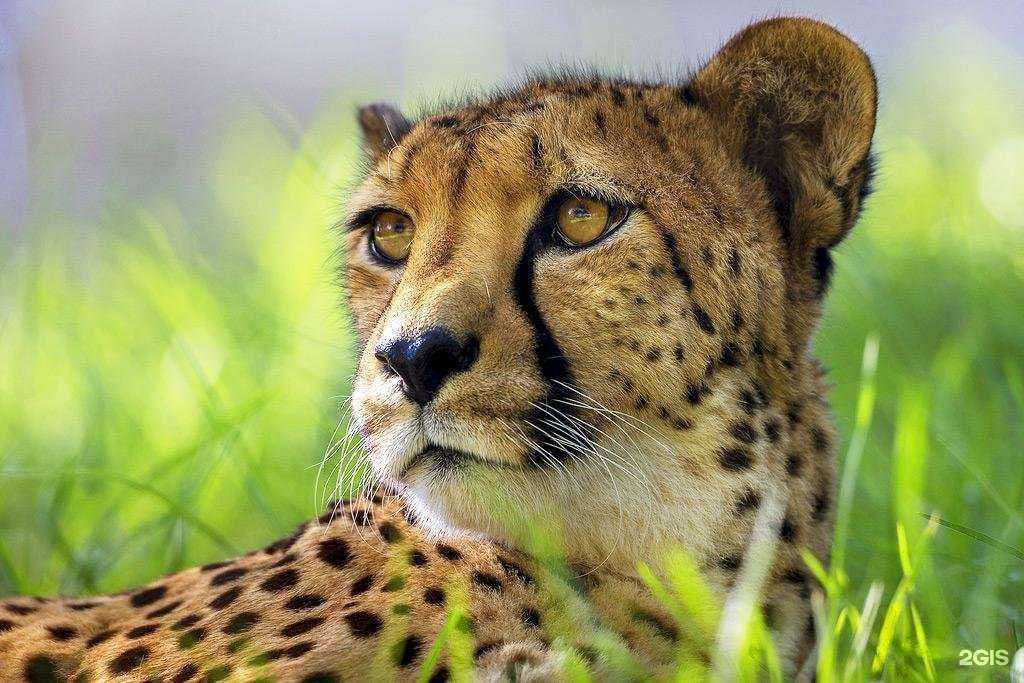 Отзывы на компанию Октябрьский в г. Сочи c фото