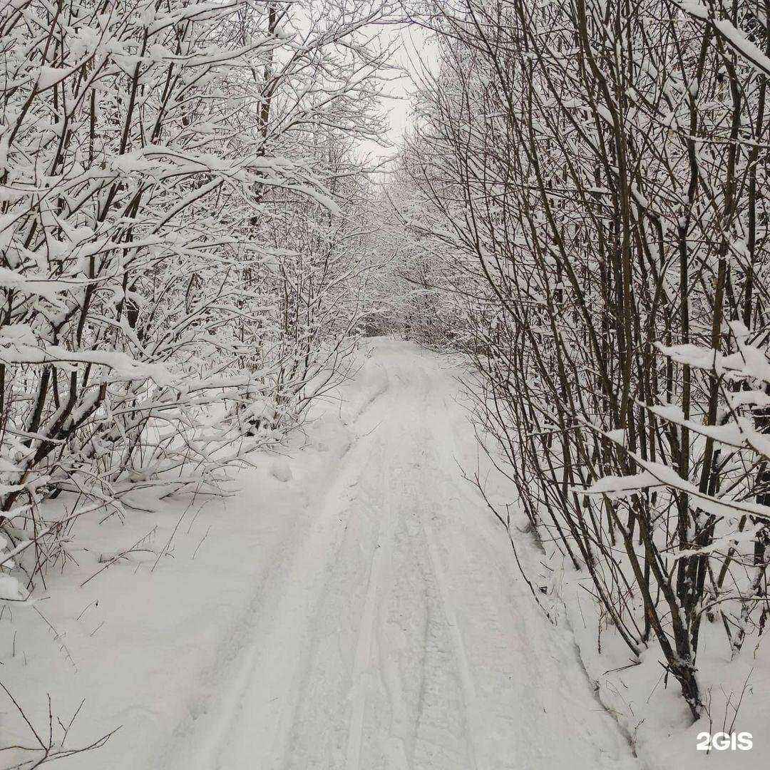 Отзывы на компанию Адвокатский кабинет Андронова А.М. в г. Солнечногорск c фото