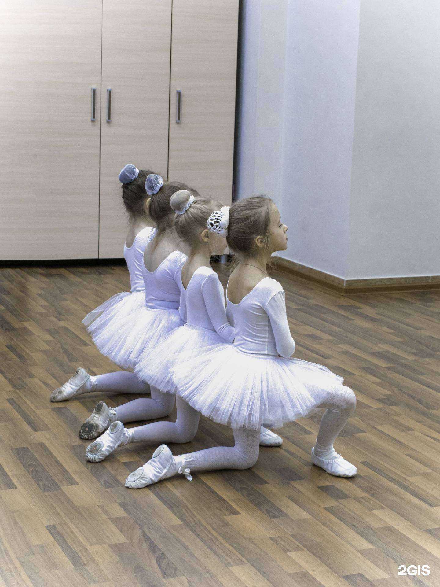 Отзывы на компанию Фея Драже в Ярославле c фото