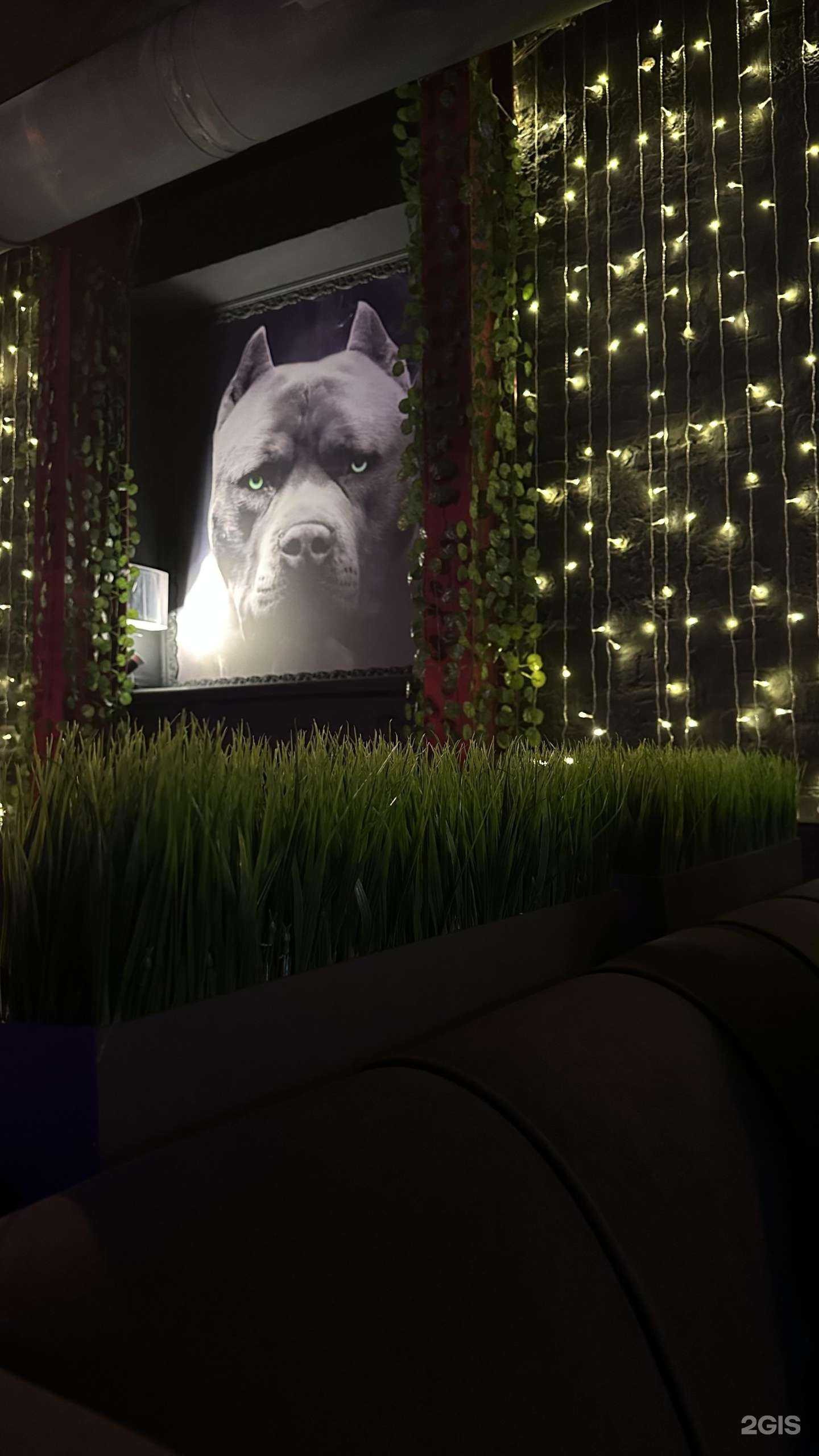 Отзывы на компанию Дымократ в г. Ростов-на-Дону c фото