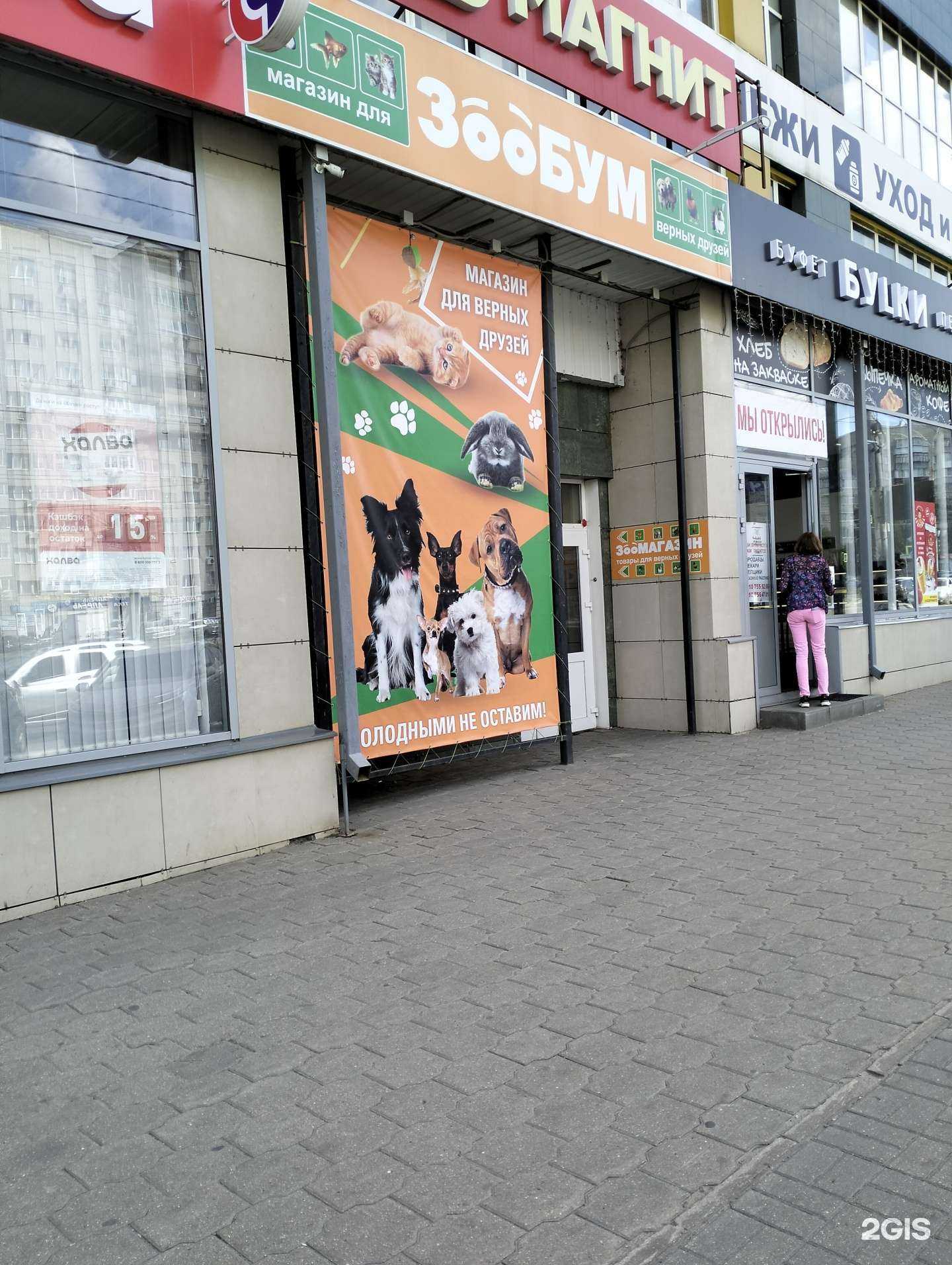 Отзывы на компанию Зоо бум в Тамбове c фото