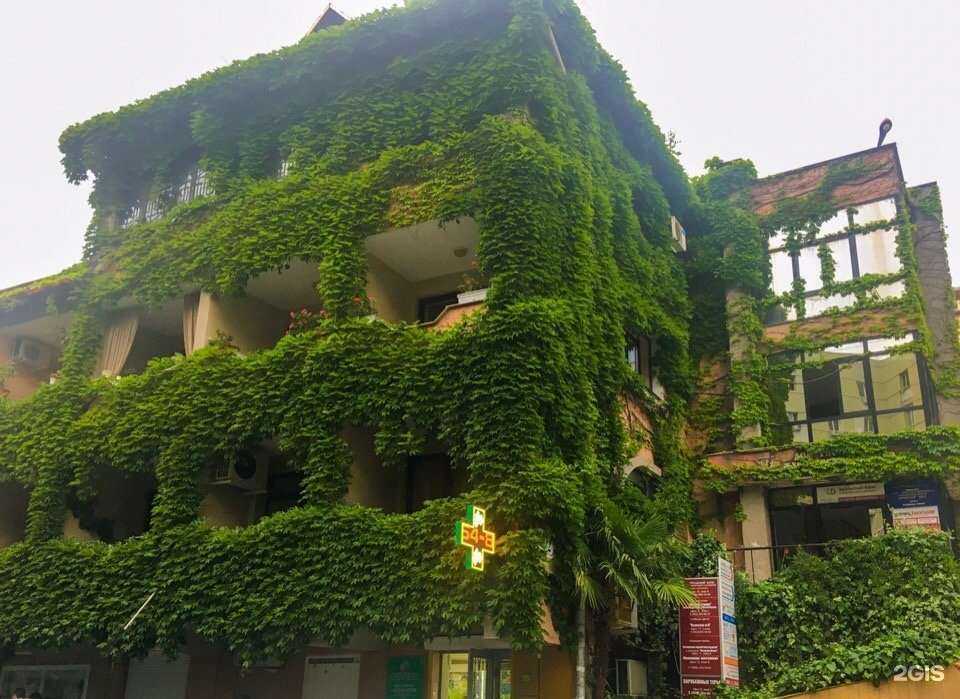 Отзывы на компанию Безе в Сочи c фото - фотография 2 из 2