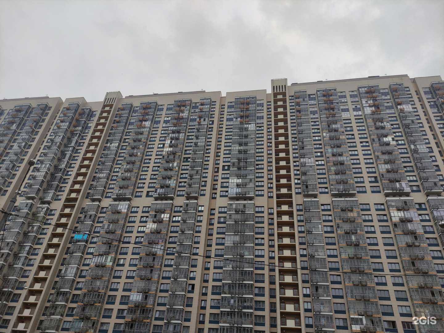 Отзывы на компанию Моджо в Красногорске c фото - фотография 2 из 2