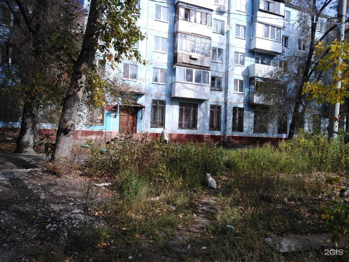 Отзывы на компанию Детская библиотека №19 в Самаре c фото - фотография 2 из 2