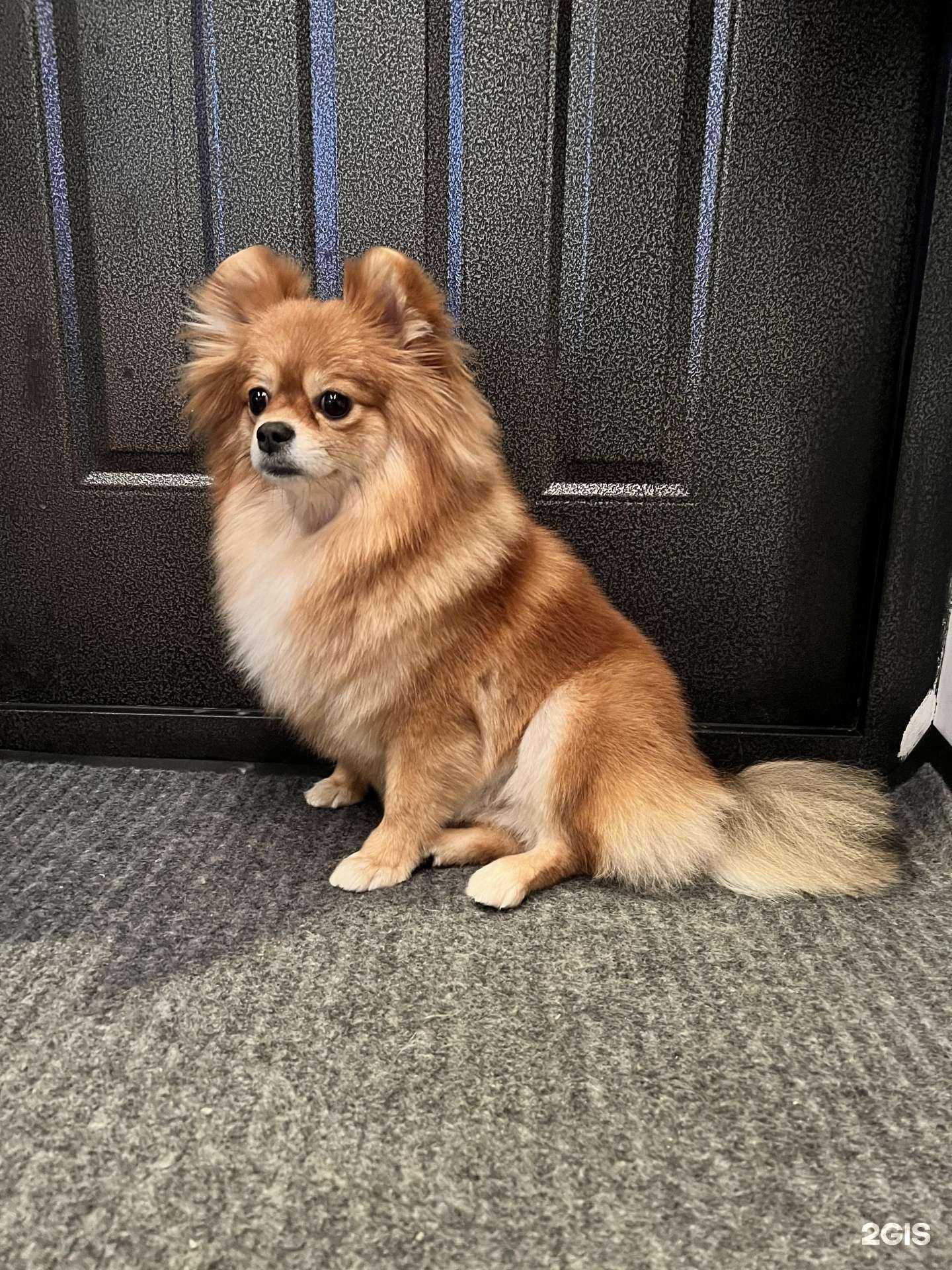 Отзывы на компанию Красный кролик в г. Новосибирск c фото