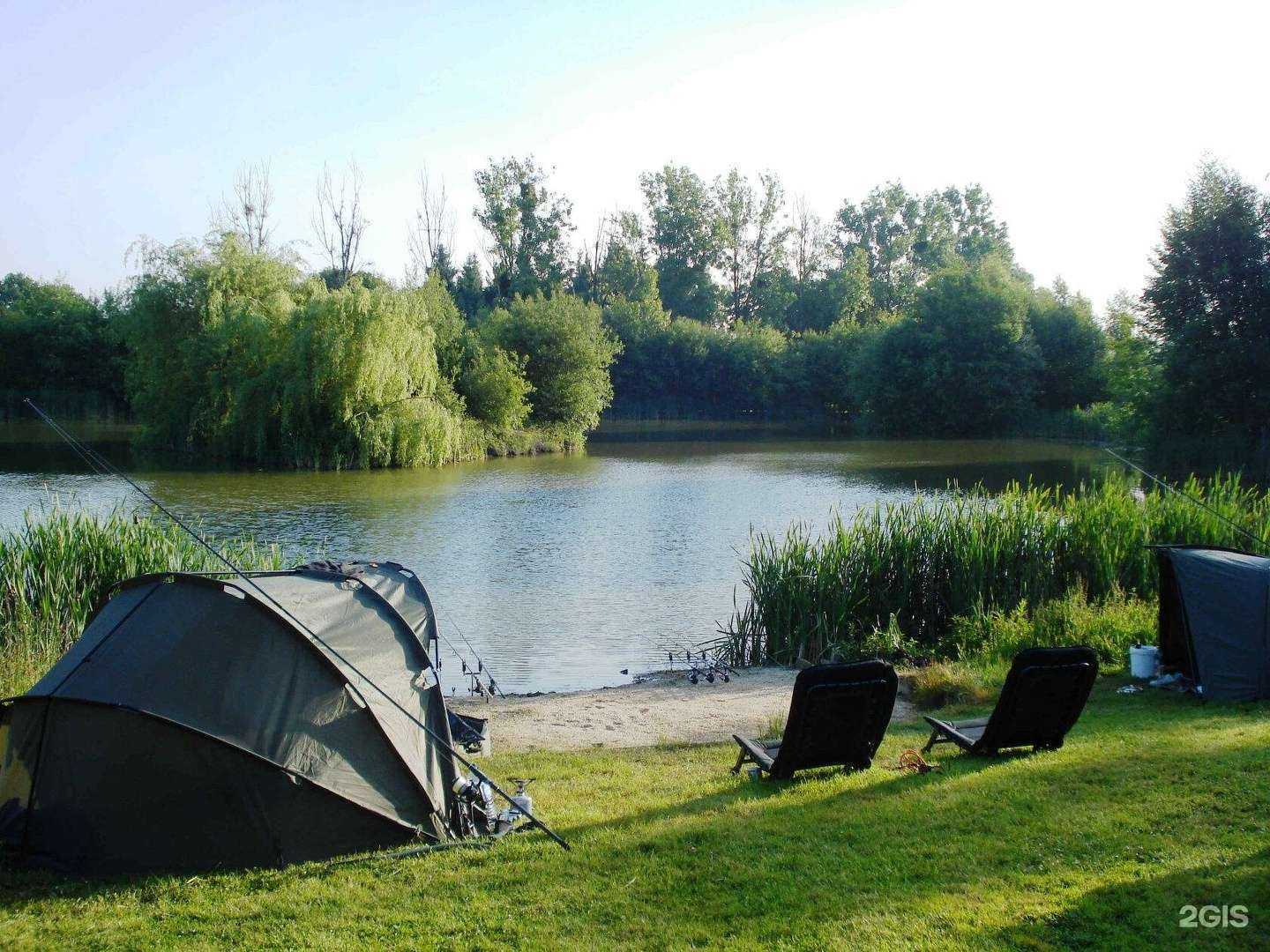 Отзывы на компанию Speaking studio в г. Краснодар c фото