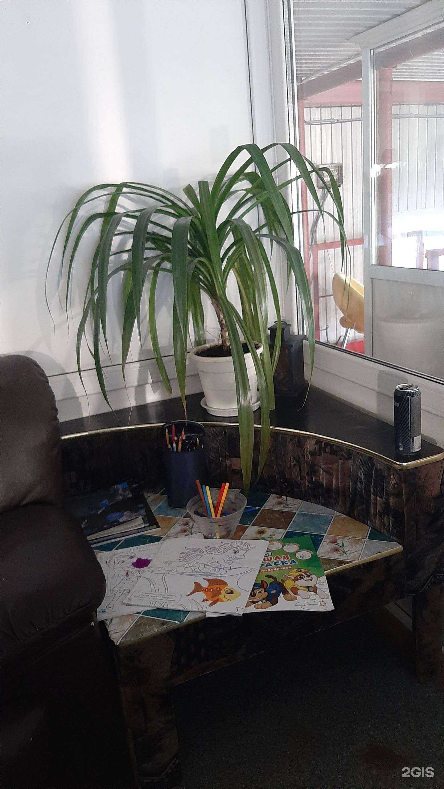 Отзывы на компанию Амин в г. Нижневартовск c фото