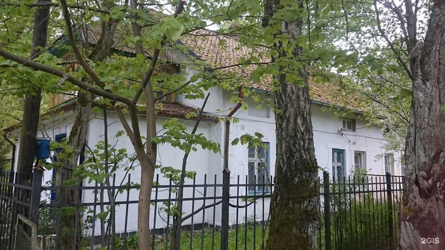 Отзывы на компанию Светлогорский детский лагерь им. Ю. Смирнова в Светлогорске c фото