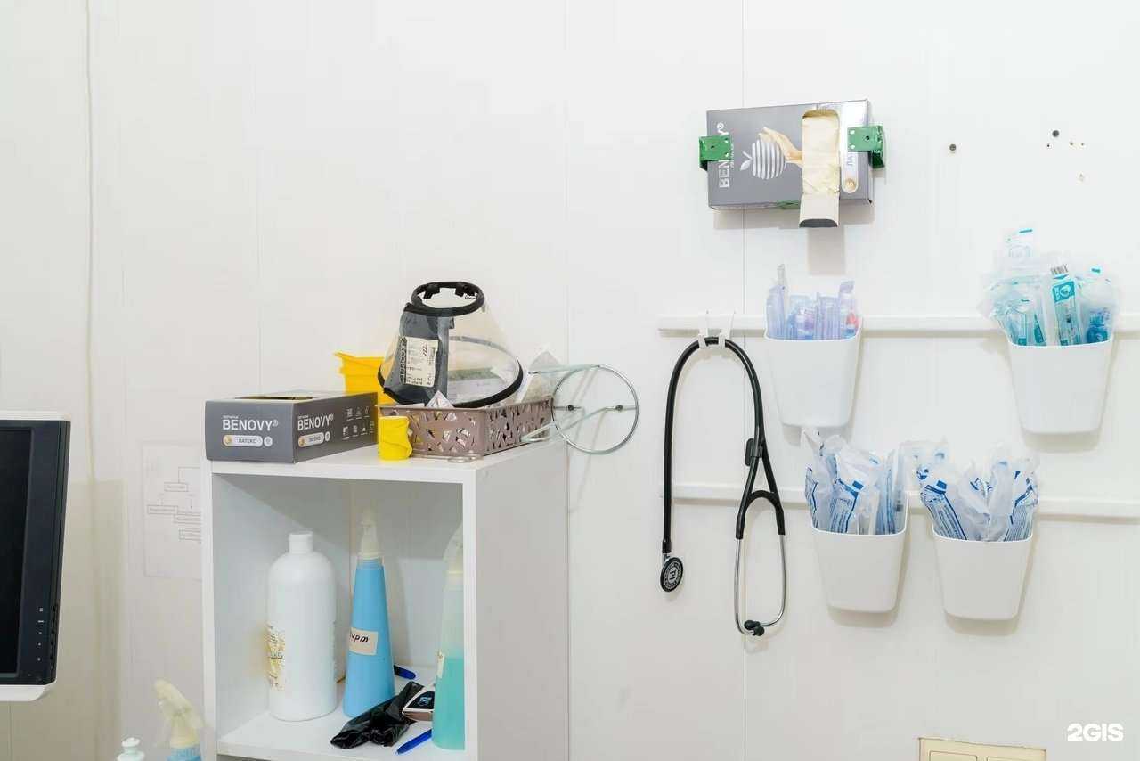 Отзывы на компанию Стаханова-ВЕТ в г. Липецк c фото