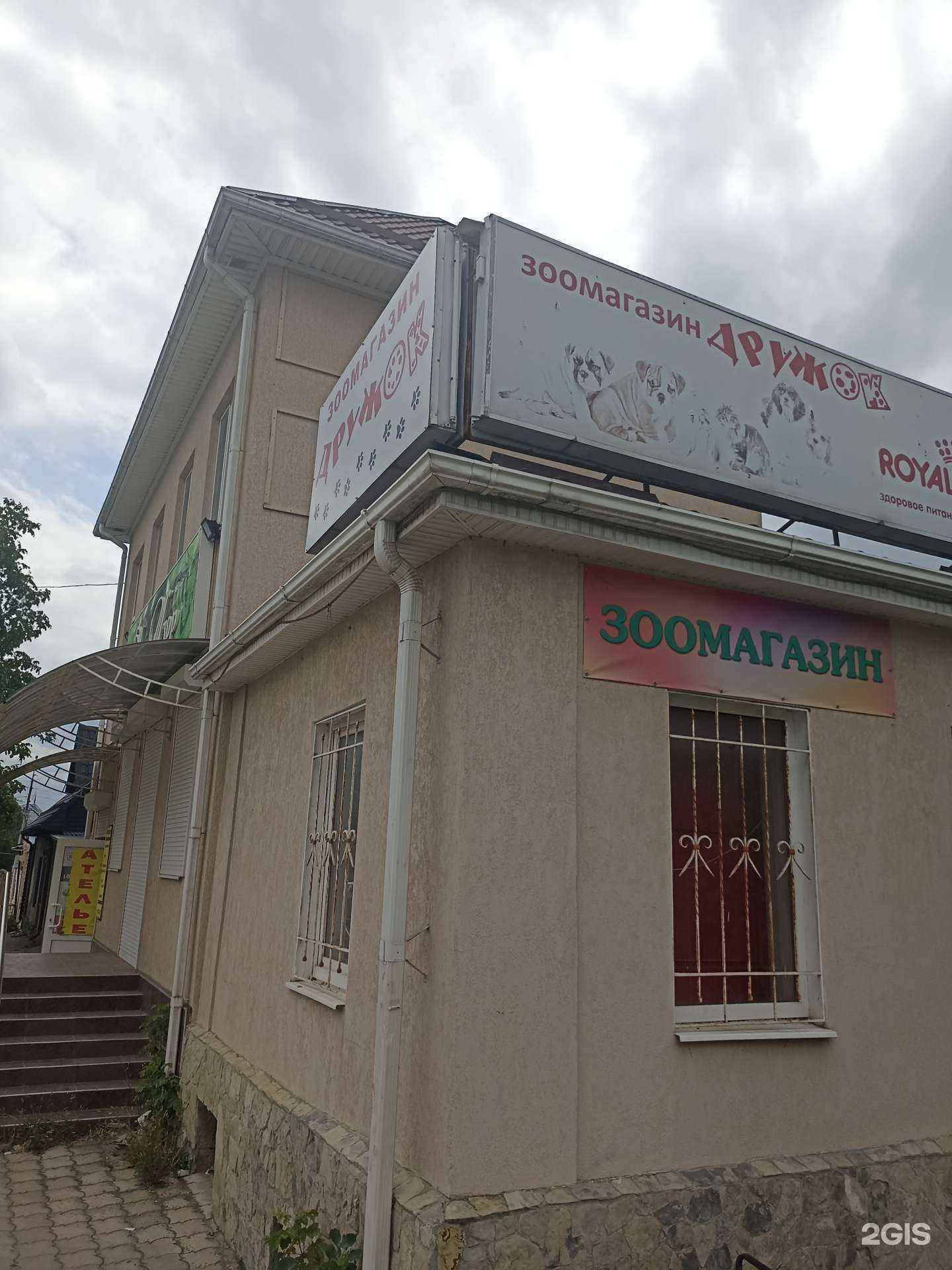 Отзывы на компанию Дружок в Пятигорске c фото - фотография 2 из 2