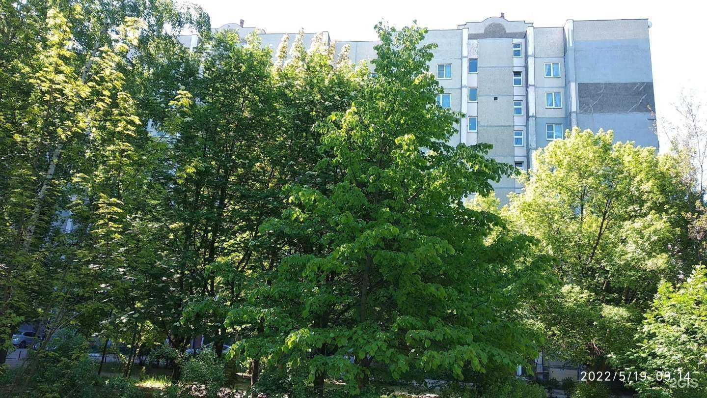 Отзывы на компанию Ваш стиль в Воронеже c фото - фотография 2 из 2