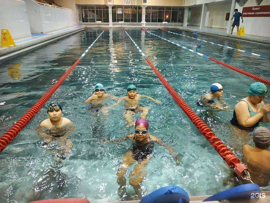 Отзывы на компанию Дельфин в Якутске c фото