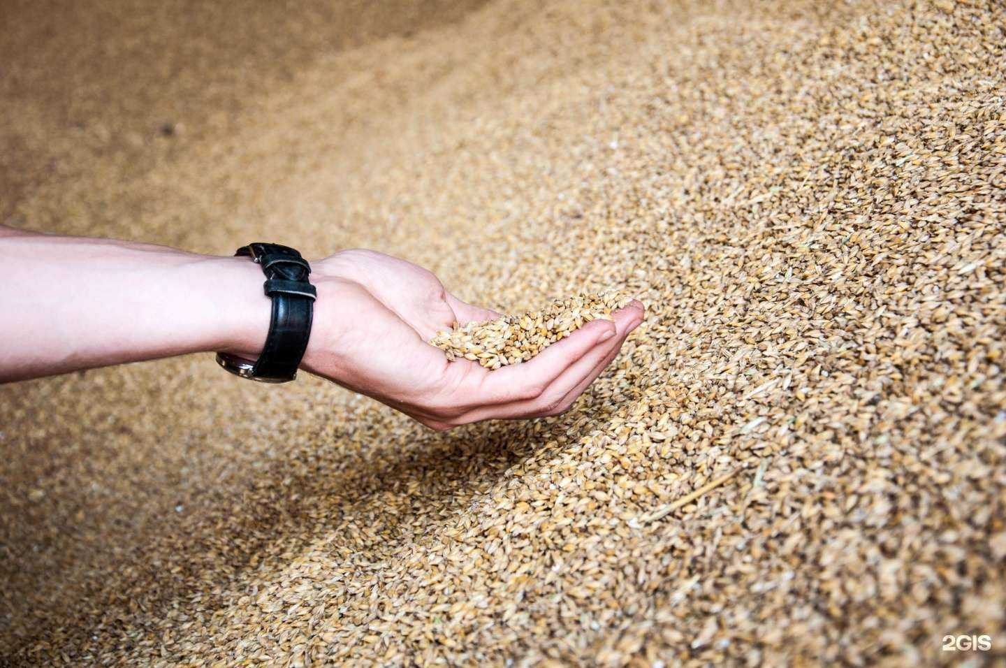 Отзывы на компанию Октябрьское в Липецке c фото