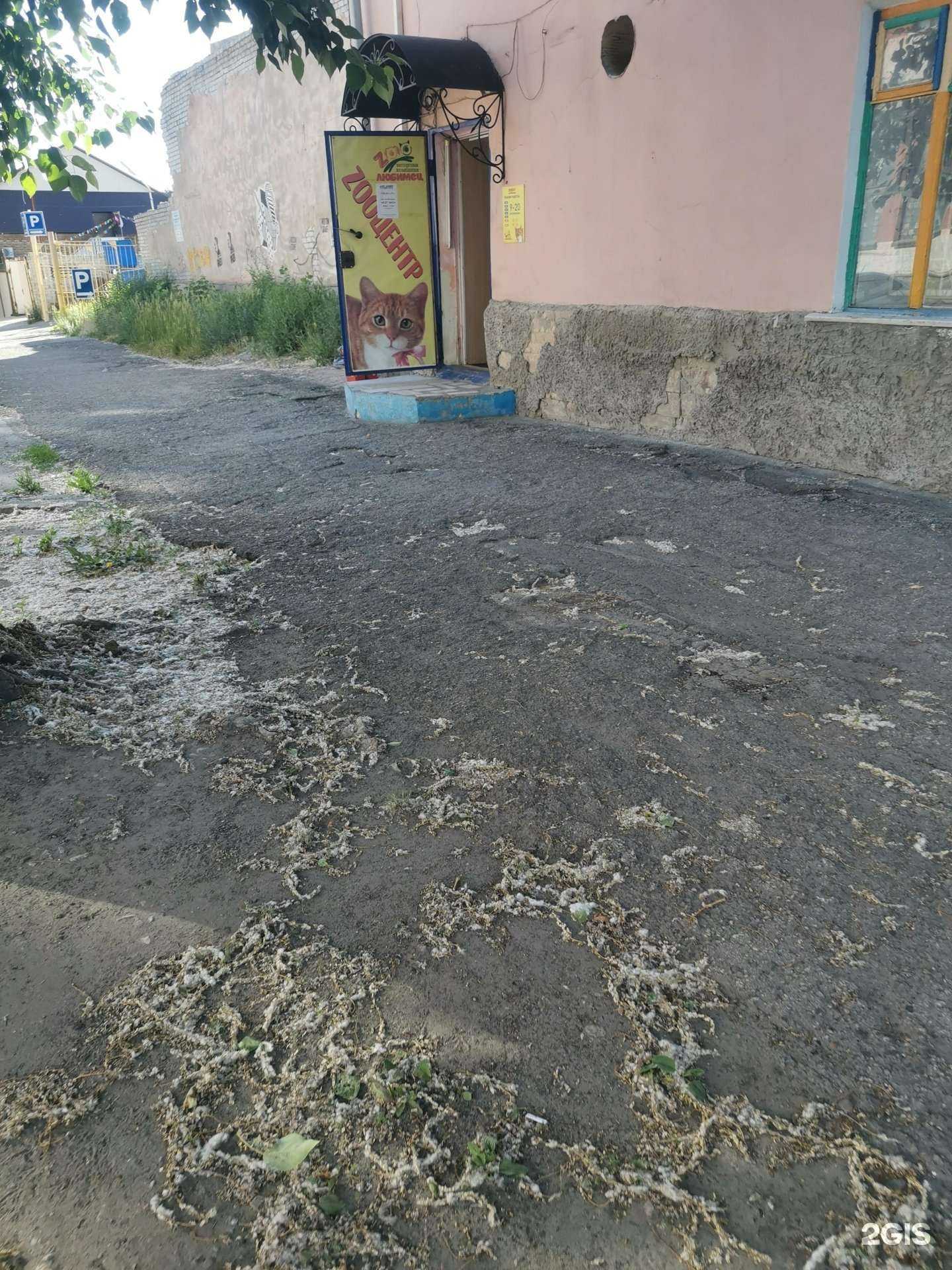 Отзывы на компанию Любимец в Ульяновске c фото