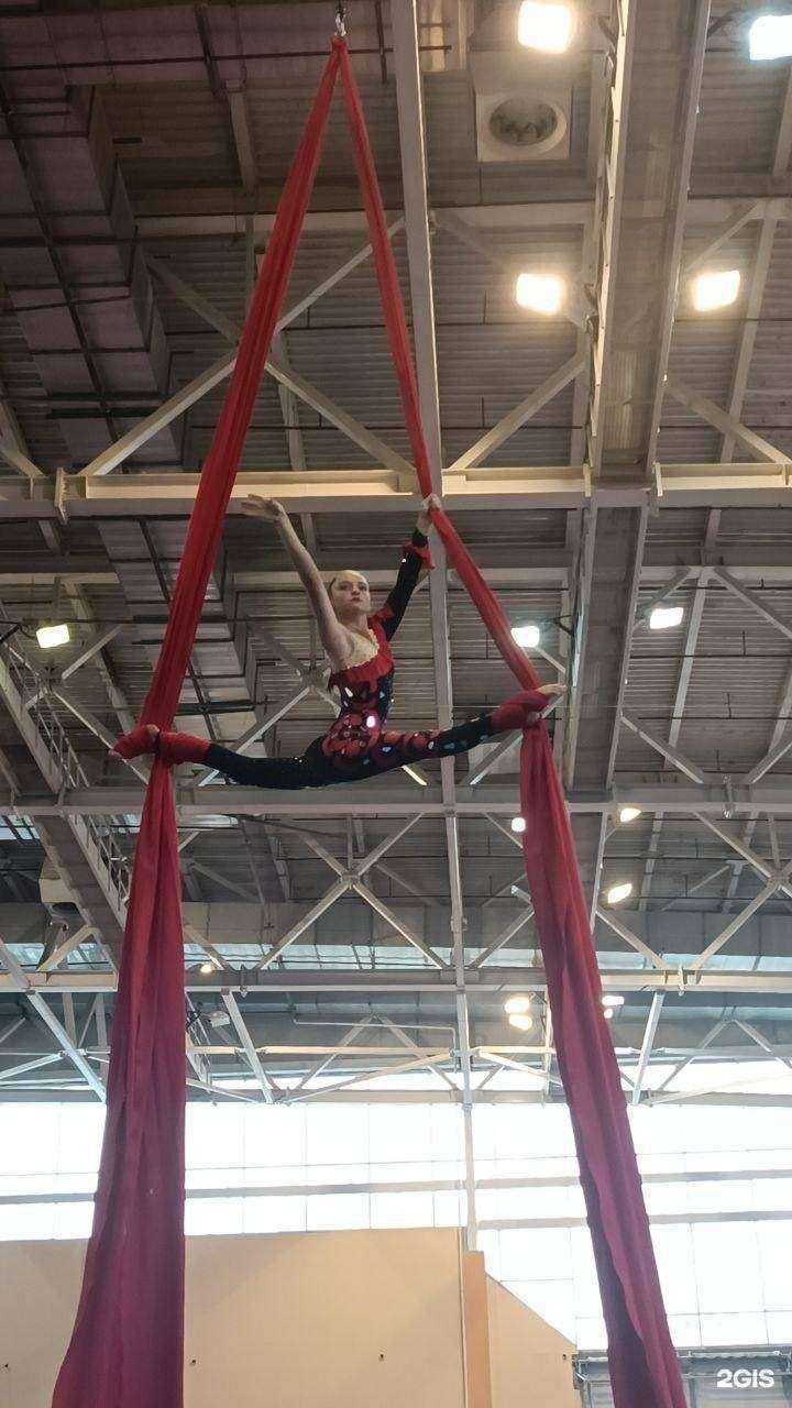 Отзывы на компанию Крылатые в г. Иркутск c фото