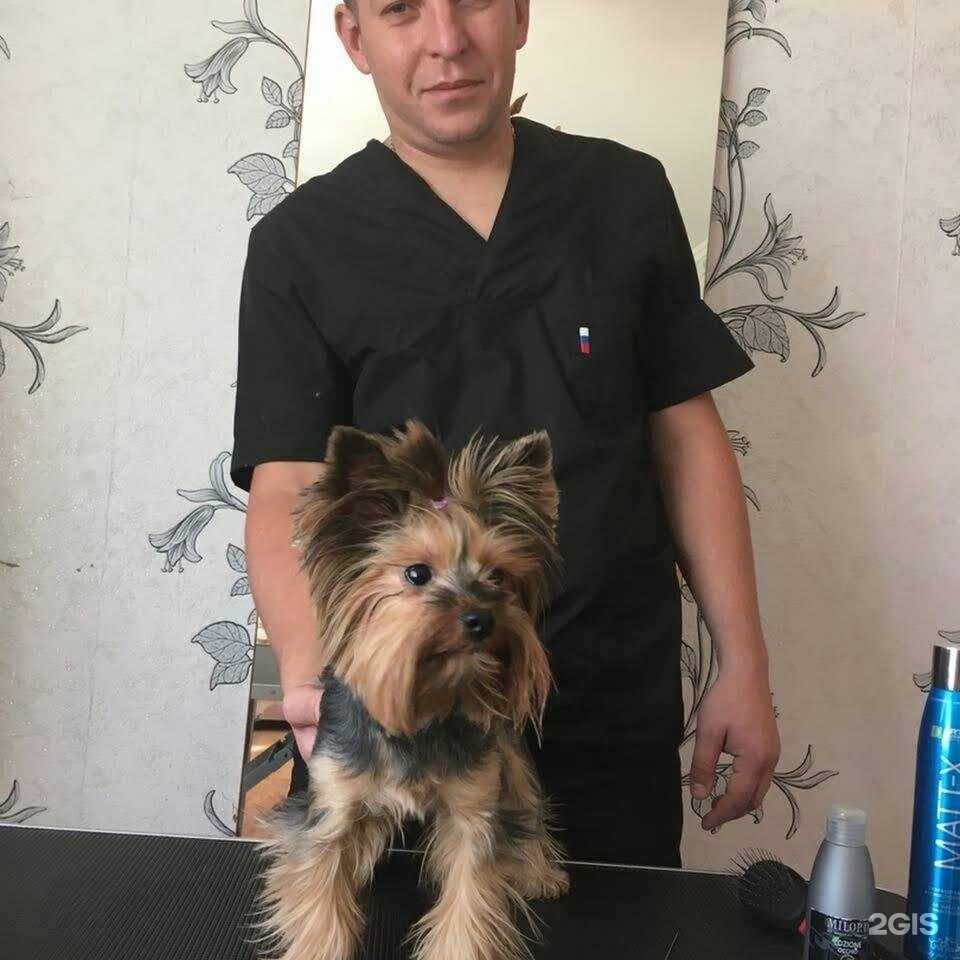 Отзывы на компанию Клёпа в г. Талдом c фото