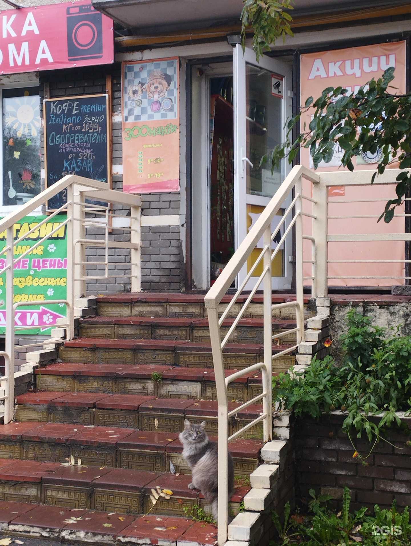 Отзывы на компанию Зоомания в Нижнем Новгороде c фото