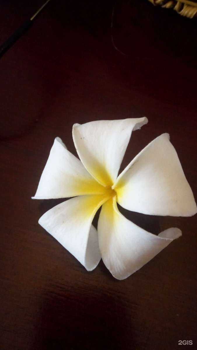 Отзывы на компанию Магазин цветов и сувениров в Прокопьевске c фото